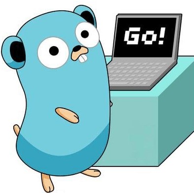 Software Development in Go Golang in India, Best Golang companies